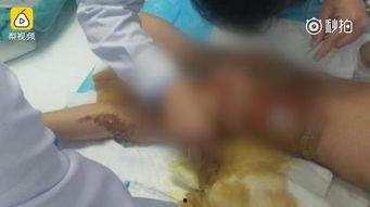 打手心视频,亲子教育中的爱与规矩  第3张