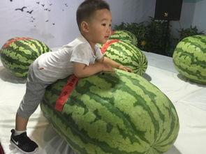 娱乐大事件吃瓜群众  第3张