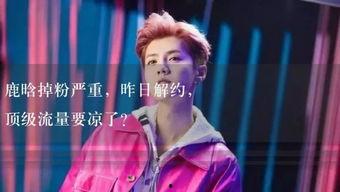 娱乐吃瓜小故事视频,吃瓜小故事背后的真相大起底  第2张