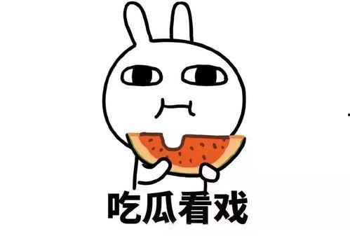 娱乐吃瓜酱讲腋窝饭团,腋窝饭团背后的趣味故事  第3张