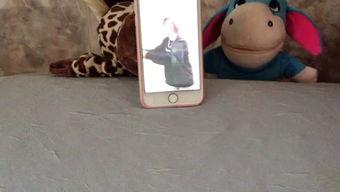 吃瓜娱乐呱,揭秘娱乐圈背后的趣味故事 第3张 吃瓜娱乐呱,揭秘娱乐圈背后的趣味故事 第3张