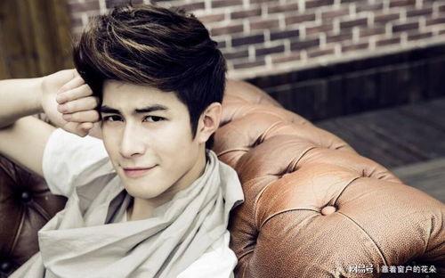 吃瓜爆料王瑞昌,王瑞昌背后的故事揭秘 第2张 吃瓜爆料王瑞昌,王瑞昌背后的故事揭秘 第2张