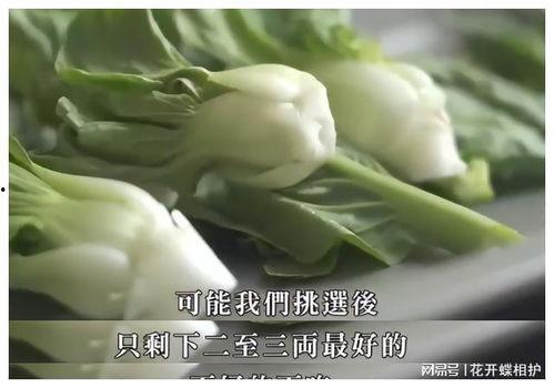 娱乐吃瓜酱的瓜是真的吗,娱乐吃瓜酱瓜料真实性揭秘  第3张