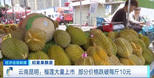 吃瓜娱乐间榴莲,热带果王背后的传奇与争议  第2张