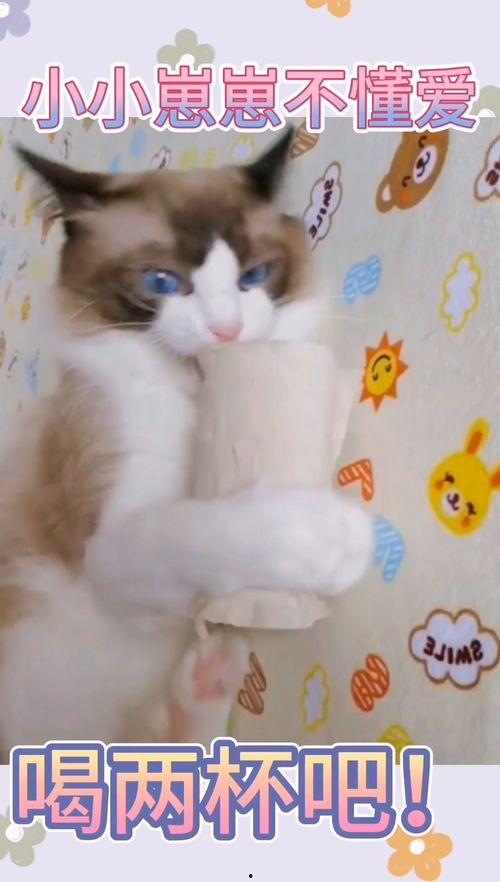 吃瓜娱乐小崽崽小说,小崽崽的娱乐圈奇遇记  第2张